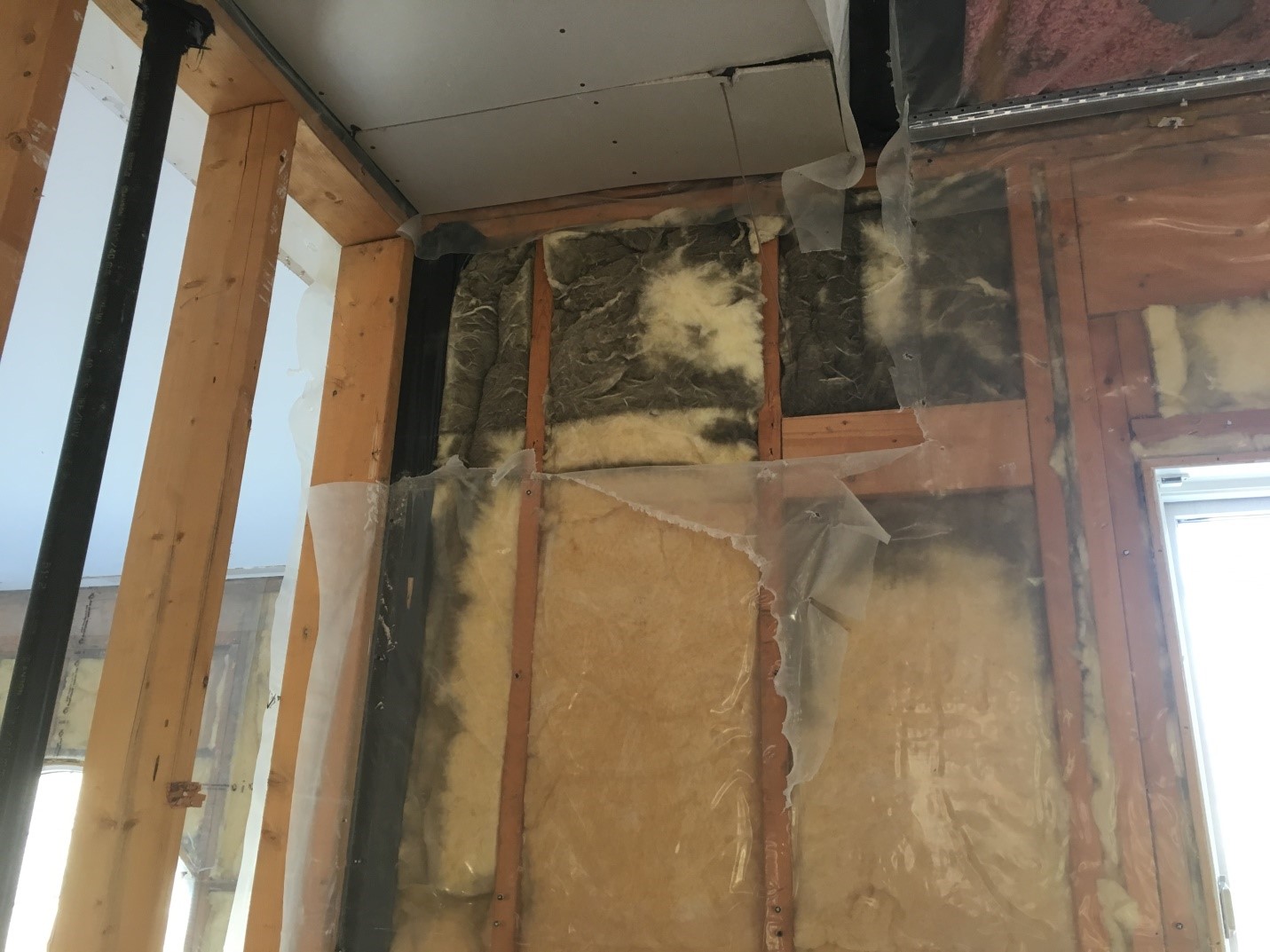 Mould is in the air… and in your house