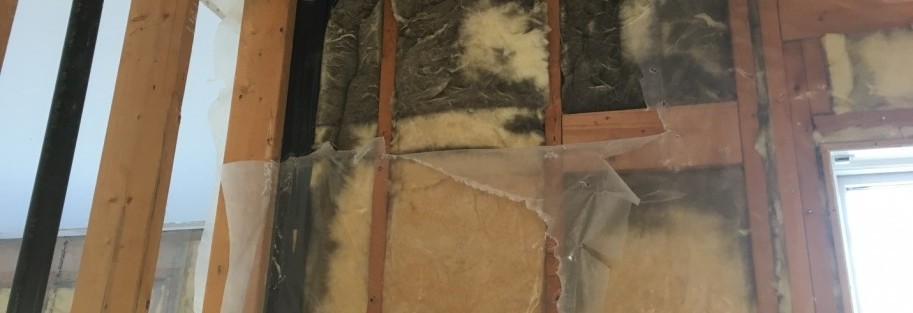Mould is in the air… and in your house